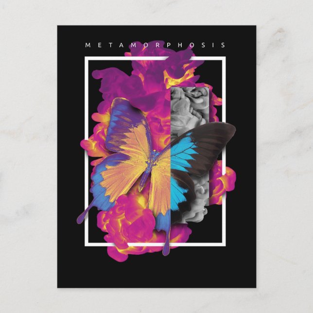 Cartão Postal Borboleta Metamorfose (Frente)