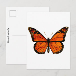 Cartão Postal Borboleta monarca Pequena