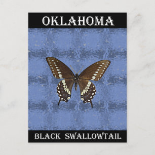 Cartão Postal Borboleta Negra de Oklahoma