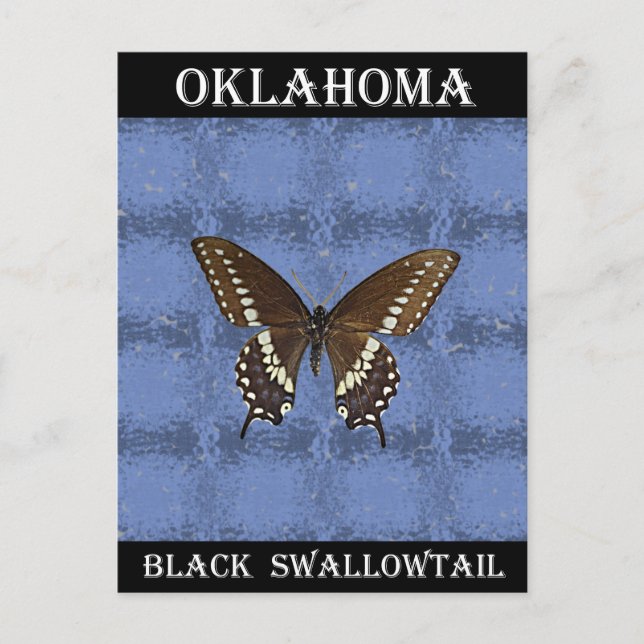 Cartão Postal Borboleta Negra de Oklahoma (Frente)