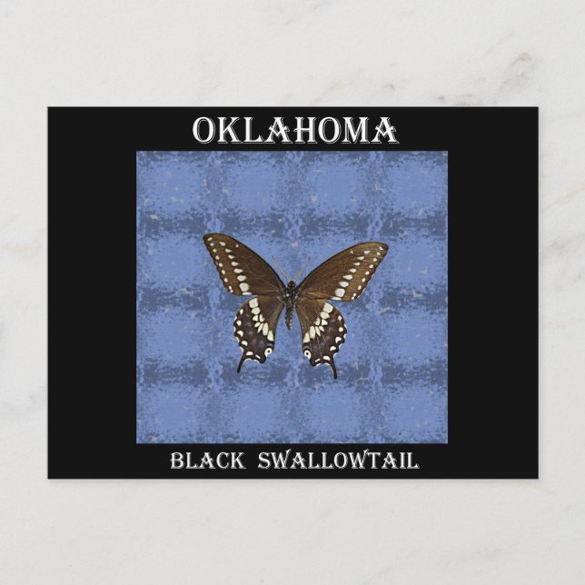 Cartão Postal Borboleta Negra de Oklahoma (Frente)