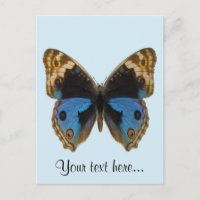 Borboleta Pansy Azul