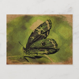 Cartão Postal Borboleta solitária
