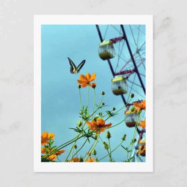 Cartão Postal Borboleta Triângulo Azul & Flores Cosmos: Japão (Frente)