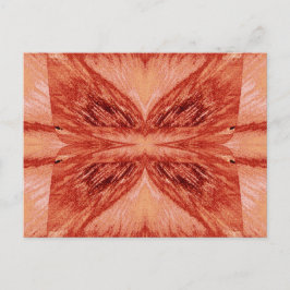 Cartão Postal Borboleta Velvet 7