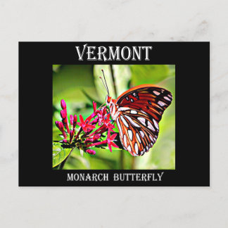 Cartão Postal Borboleta Vermont Monarch