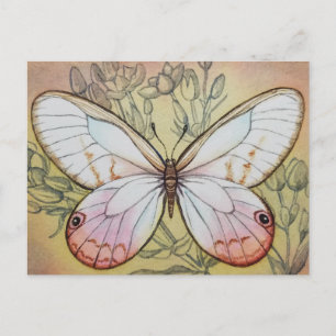 Cartão Postal Borboleta Vintage n.o 6 Arte Watercolor