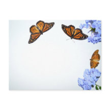 Borboletas do Springtime