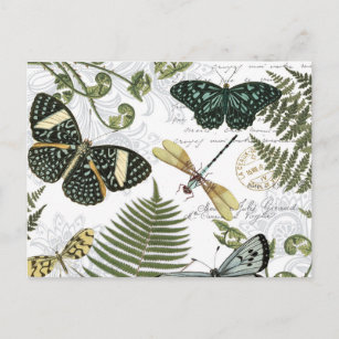 Cartão Postal borboletas e libélulas antigas