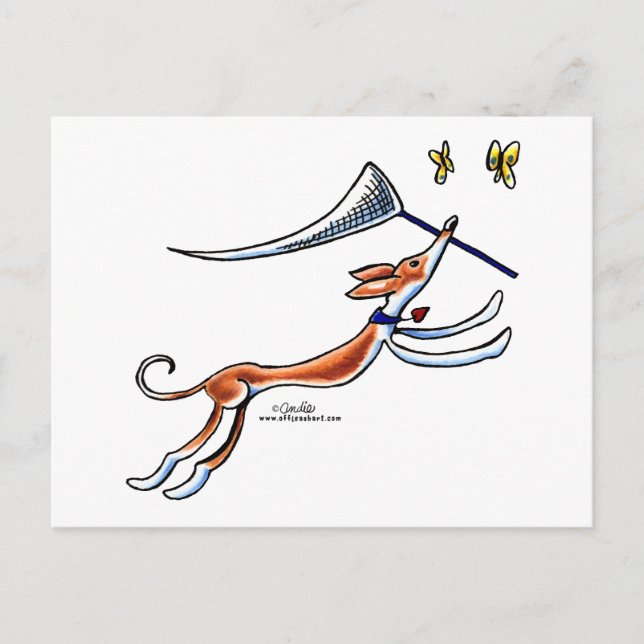 Cartão Postal Borboletas Ibizan Hound (Frente)