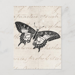 Cartão Postal Borboletas Vintage Illustration 1800's Butterflies