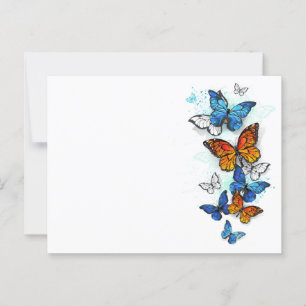 Cartão Postal Borboletas voadoras Morpho e Monarca