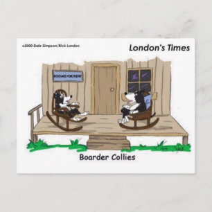 Cartão Postal Borda Aposentada Collies Engraçados Donativos De 