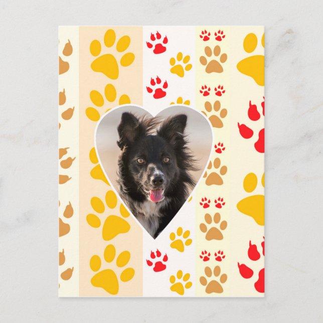 Cartão Postal Borda Collie Paw Print Love Heart (Frente)