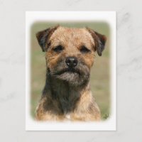 Borda Terrier 9Y325D-038