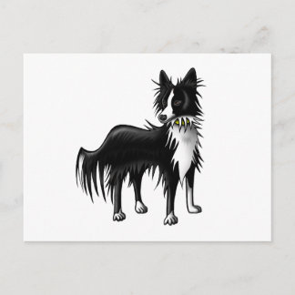 Cartão Postal Border Collie