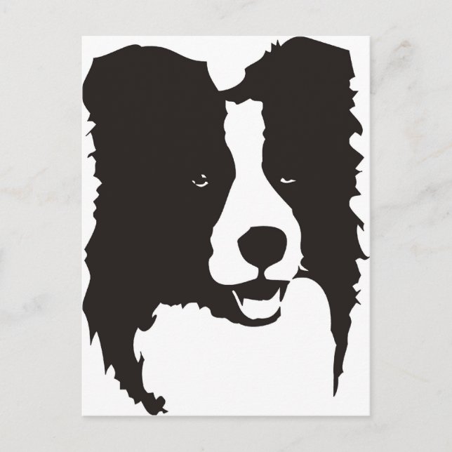 Cartão Postal Border Collie (Frente)