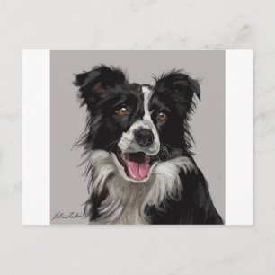 Cartão Postal Border collie