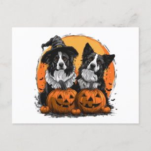Cartão Postal Border Collie Dogs Halloween Jack O Lanternas