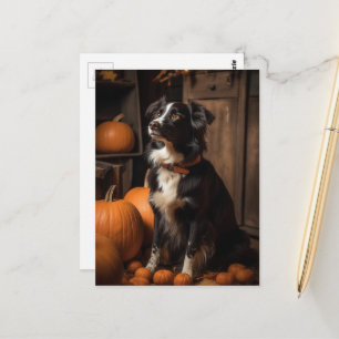 Cartão Postal Border Collie e Abóboras de Outono