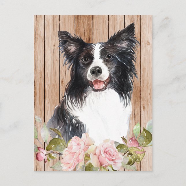 Cartão Postal Border Collie & Flores em Aquarela (Frente)