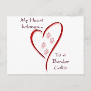 Cartão Postal Border Collie Hearts Pertence