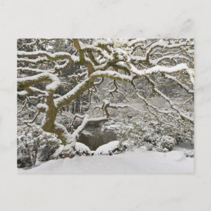 Cartão Postal Bordo japonês coberto de neve