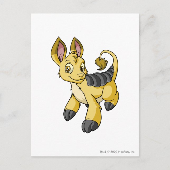 Cartão Postal Bori Amarelo (Frente)