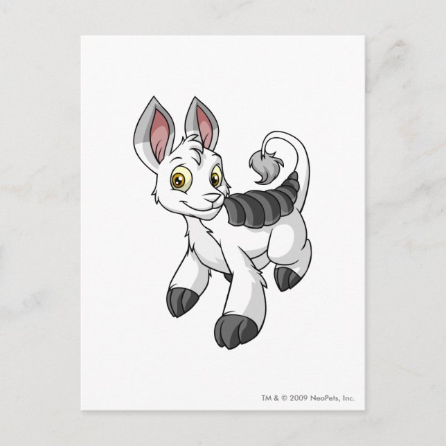 Cartão Postal Bori Branco (Frente)