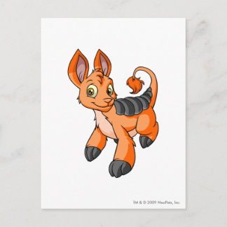 Cartão Postal Bori Orange