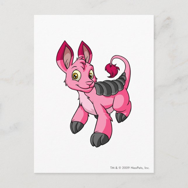 Cartão Postal Bori Pink (Frente)