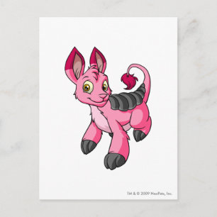 Cartão Postal Bori Pink