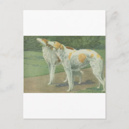 Cartão Postal Borzoi (Wolfhound russo)