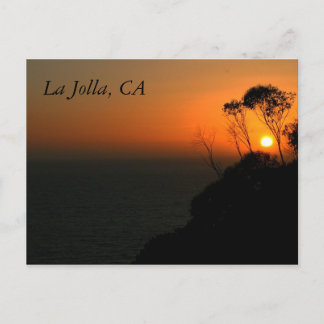 Cartão Postal Bosque do eucalipto de La Jolla