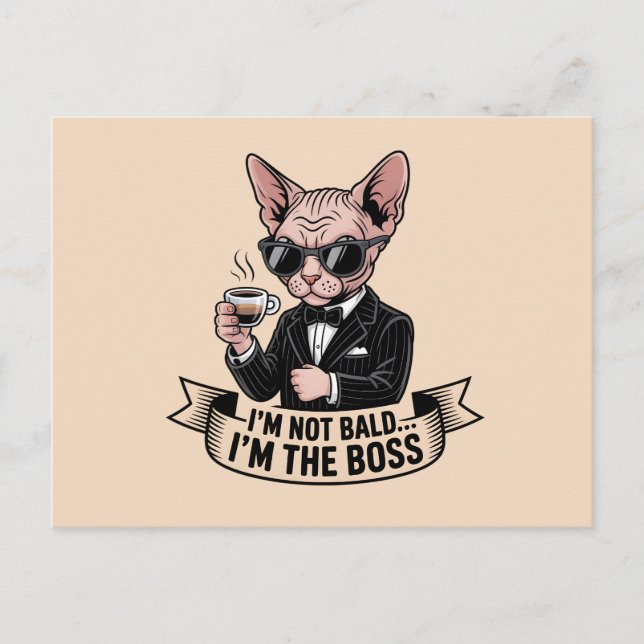 Cartão Postal Boss Sphynx Cat Coffee Illustration (Frente)