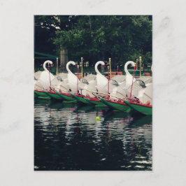 Cartão Postal Boston Public Gardens Swan Boats