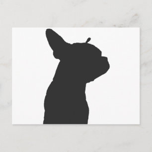 Cartão Postal Boston Terrier