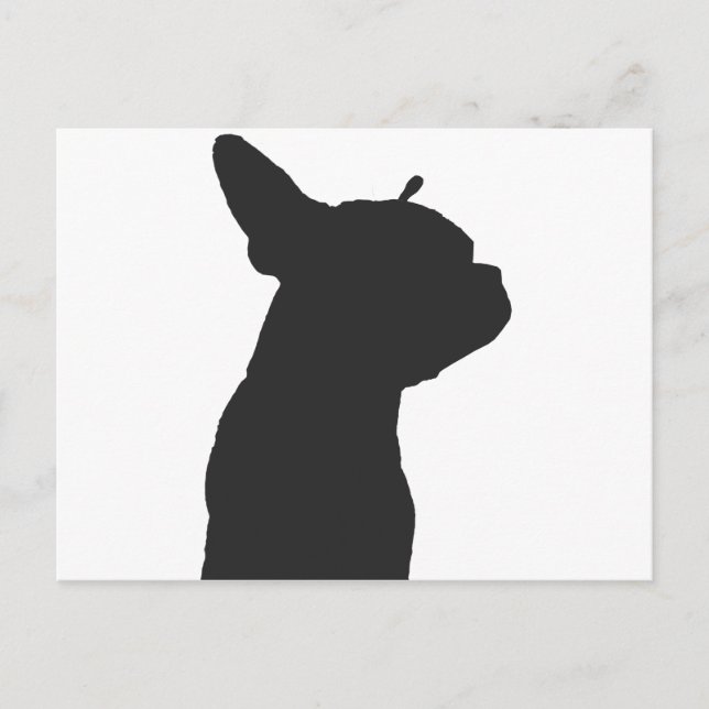 Cartão Postal Boston Terrier (Frente)