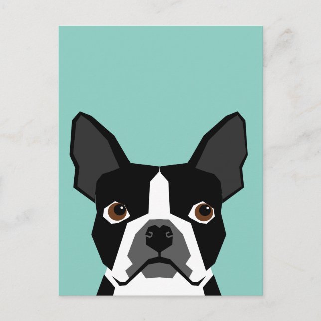 Cartão Postal Boston Terrier (Frente)
