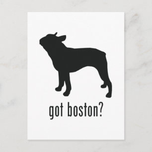 Cartão Postal Boston Terrier