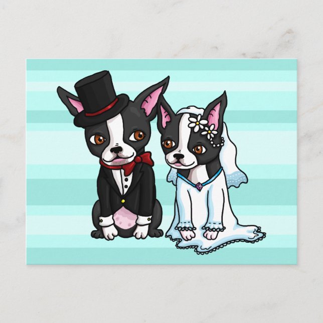Cartão Postal Boston Terrier Bride e Groom (Frente)