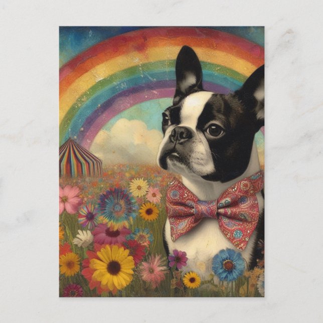 Cartão Postal Boston Terrier Circus Hippie Rainbow (Frente)
