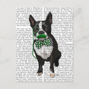 Cartão Postal Boston Terrier Com bigode verde e safado