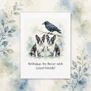 Cartão Postal Boston Terrier / Corvo Feliz Aniversário Negócios