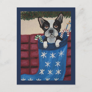 Cartão Postal Boston Terrier de Natal em uma meia
