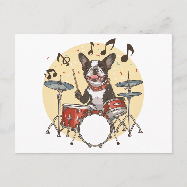 Cartão Postal Boston Terrier Dog Playing Drums (Frente)