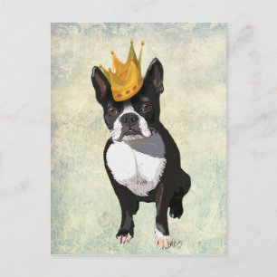Cartão Postal Boston Terrier e Crown