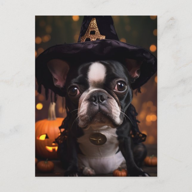 Cartão Postal Boston Terrier Halloween (Frente)