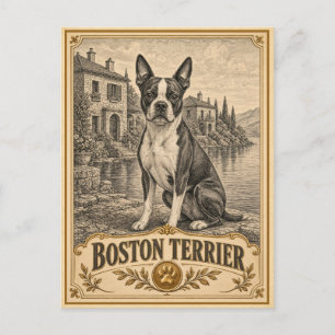 Cartão Postal Boston Terrier, Patrimônio Vintage