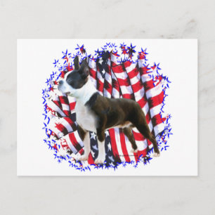 Cartão Postal Boston Terrier Patriot